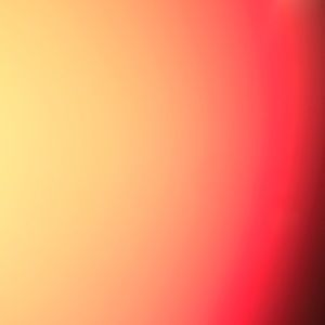 Meet your Posher, Jonah